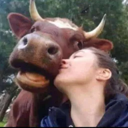 Só Resenha
