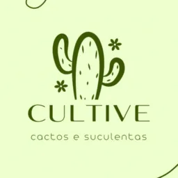 Cultive🌵Cactos/Suculentas