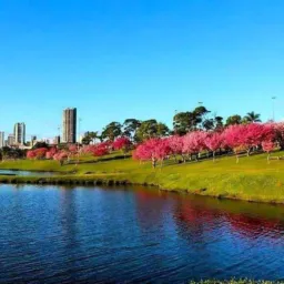 VENDER PARQUE DO LAGO E CRISTO REI E REGIÃO VG👉🏼✅