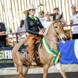 Dalva Marques Compra e Venda....Assessoria e Treinamento de Equinos e Muares
