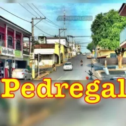 PEDREGAL VENDAS