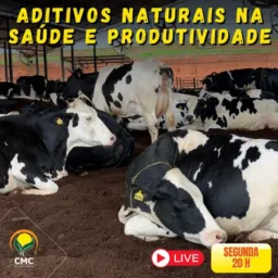 Aditivos Naturais na Saúde e Produtividade de Vacas em Lactação