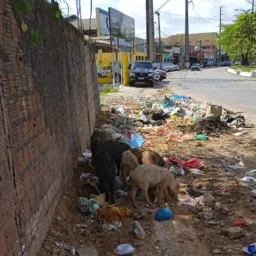 São Luís MA: O Lixo Podre do Brasil 🇧🇷