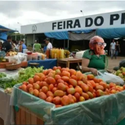 ANTÔNIO D.J .AQUI  POVO VE FEIRA DE ARIQUEMES