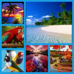 🤜🤛ESSE GRUPO FOI CRIADO PRA TODOS OS 🦜DDD🦅 DO BRASIL QUALQUER 🐦⬛DDD🦤PODE PARTICIPAR 👍 🆗️ ✌️SALVE ✌️