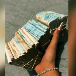 estratégia e sinais4💸💸💸🎰
