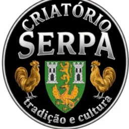 STUDIO SERPA