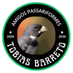 AMIGOS PASSARIFORMES TOBIAS BARRETO/SE 🐦‍⬛🐧