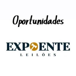 Oportunidades EXPOENTE LEILÕES