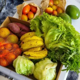 ##RIFA##Lojinha orgânica Oséias 🌶️ 🌶️