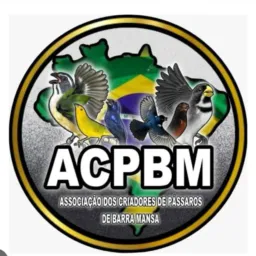 NEGOCIAÇÃO GIRAU E ARAPIRACA!✅🐦⬛