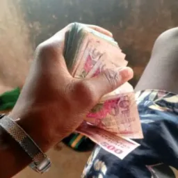 Solteiro feliz 💰
